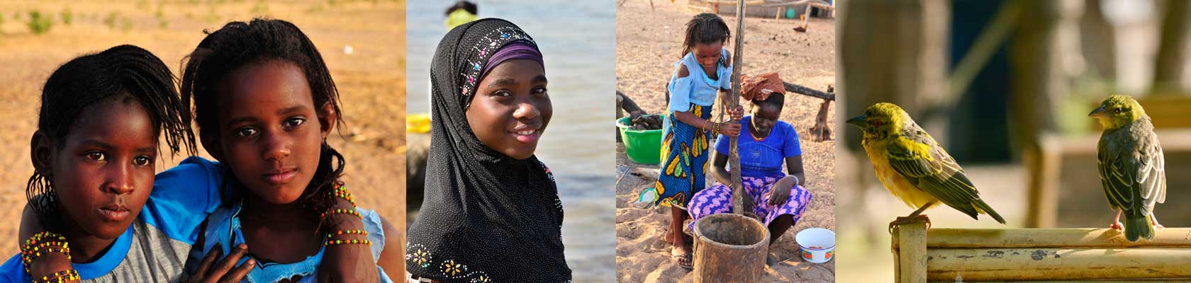 Montage photos du Sénégal