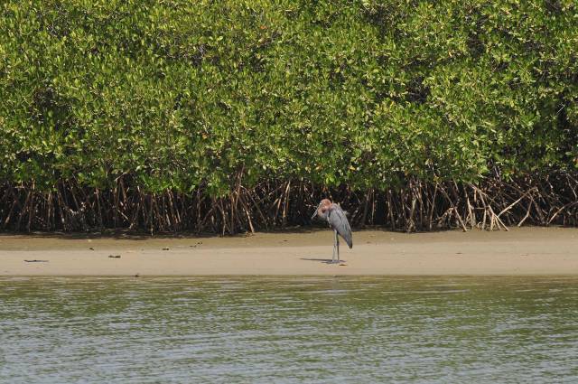 Photo 18 du Bienvenue à l'Ecolodge de Palmarin, séjour au bout du monde dans un site epoustoufflant