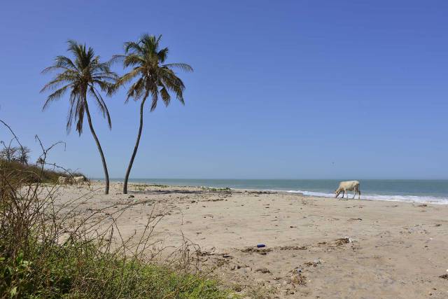 Photo 12 du Bienvenue à l'Ecolodge de Palmarin, séjour au bout du monde dans un site epoustoufflant