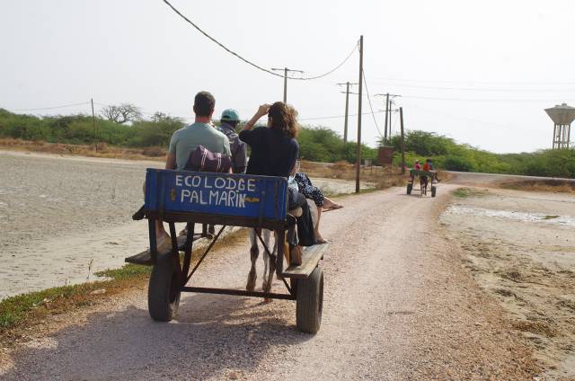 Photo 7 du Activités dans un lodge situé dans la plus belle région du Sénégal.