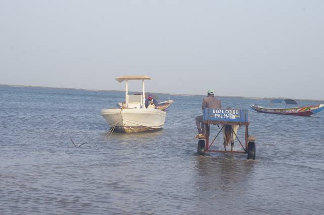 Photo 10 du Activités dans un lodge situé dans la plus belle région du Sénégal.