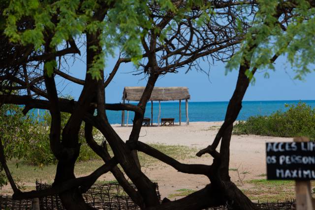 Photo 8 du Activités dans un lodge situé dans la plus belle région du Sénégal.