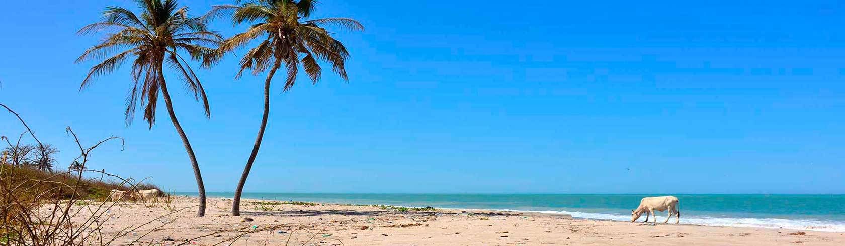 Diaporama 1 des écolodges du Sénégal